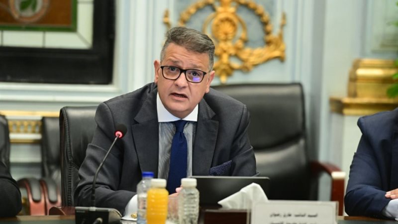 النائب طارق رضوان