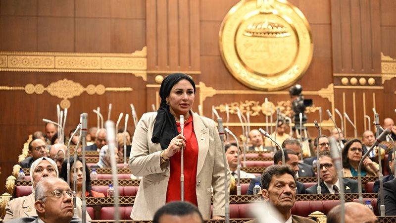 شيرين صبري