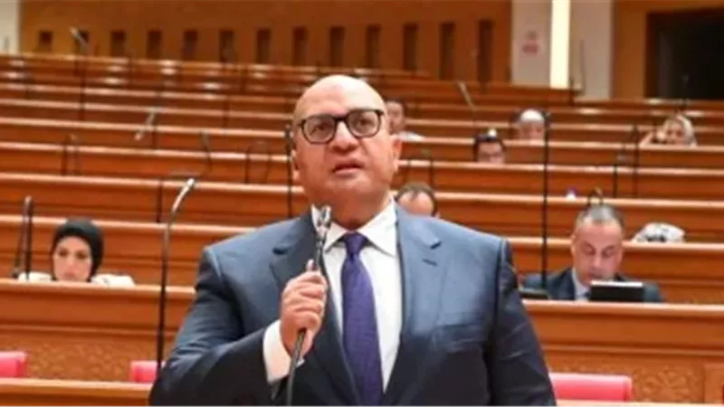  النائب أحمد الشناوي