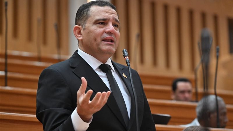 النائب أمير أحمد