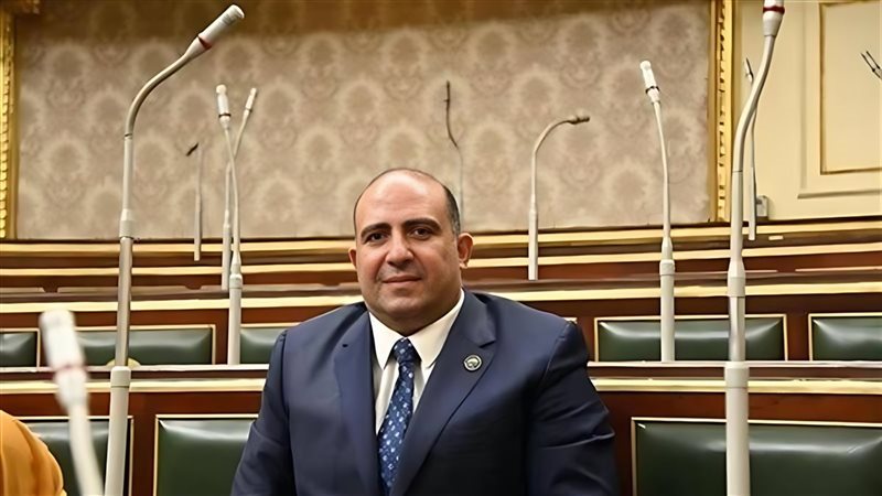 النائب محمد سليم