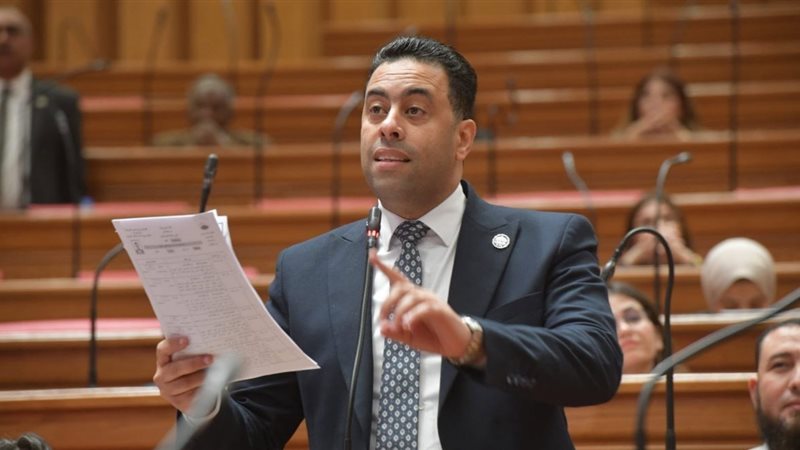 النائب أحمد فرغلي