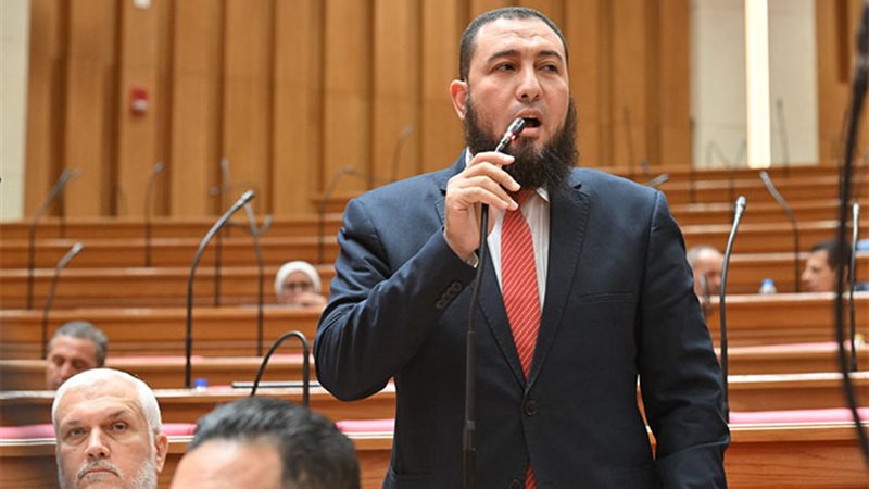 النائب محمود رشاد حبيب