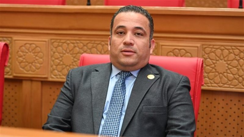 النائب هاني شحاتة