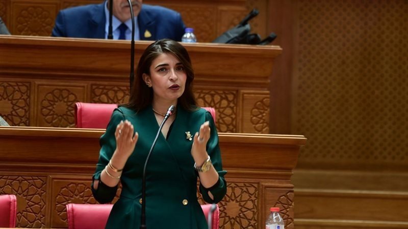 النائبة إيرين سعيد 