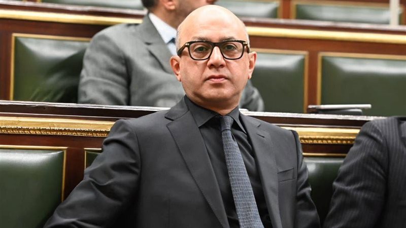 النائب هشام حسين