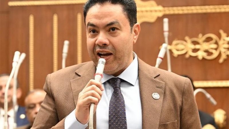 النائب إسماعيل الشرقاوي