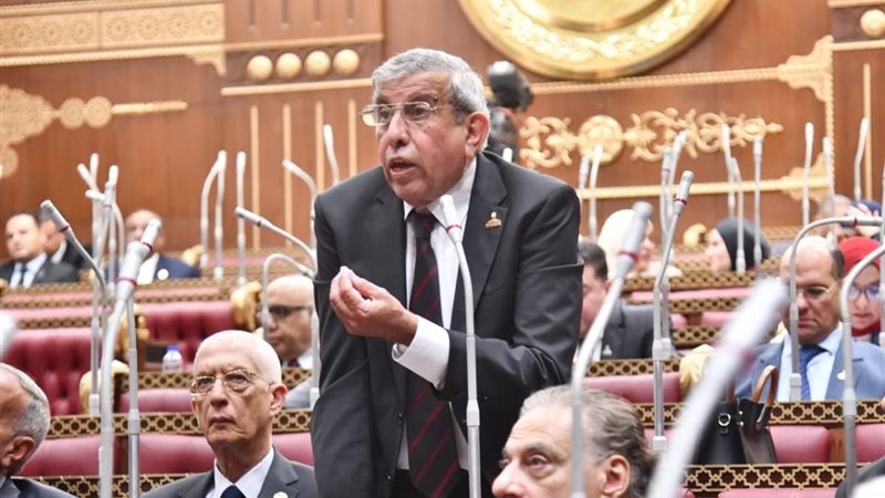 النائب علاء عبدالنبي 