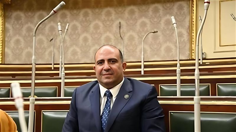 النائب محمد سليم