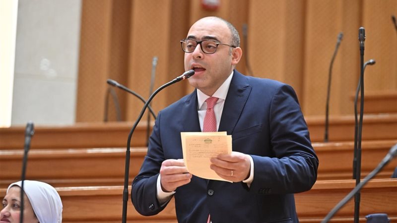 النائب أحمد علاء فايد