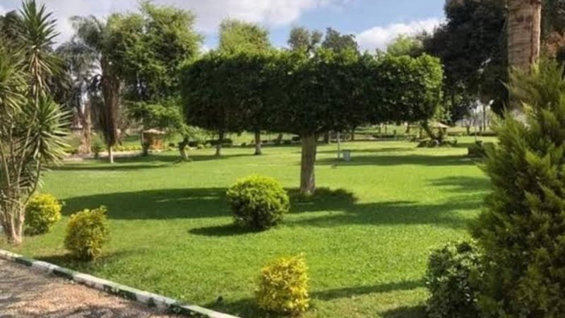 تخضير القاهرة
