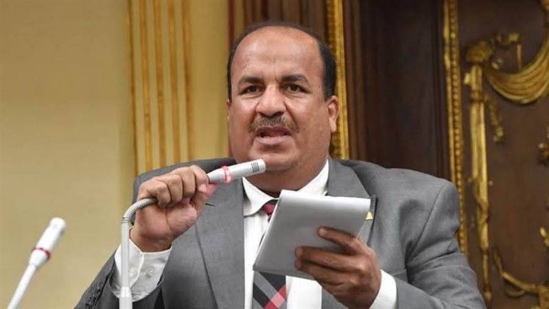 النائب محمد عبدالحميد