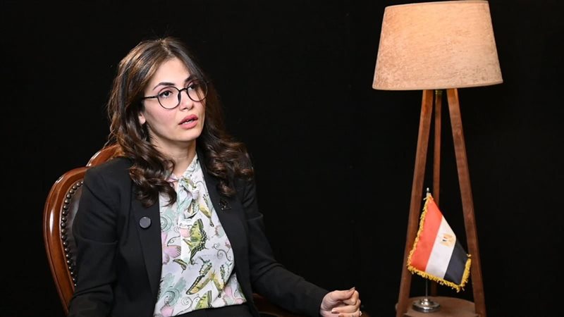 النائبة نيفين إسكندر
