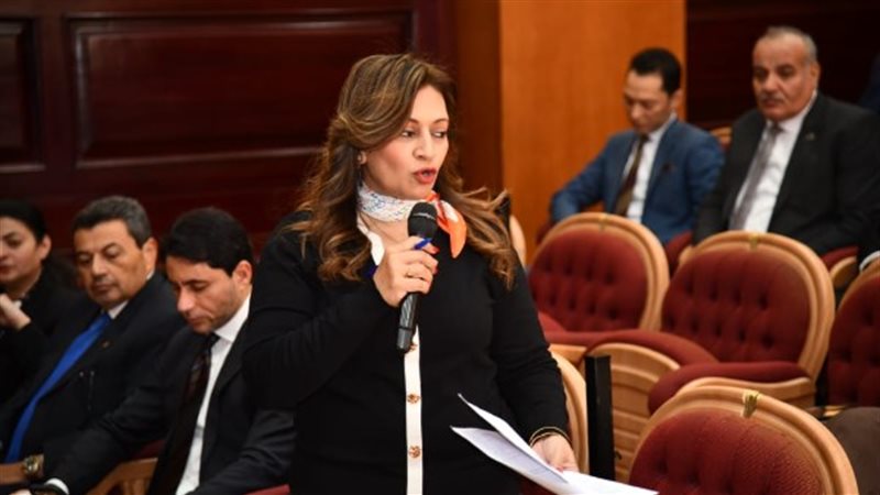  النائبة نيفين فارس