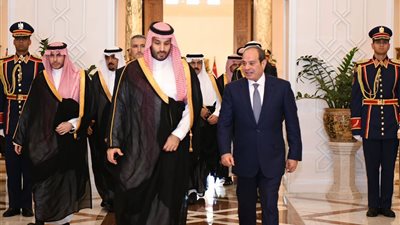 محمد أمين: التنسيق المصري السعودي ضرورة لحماية المصالح المشتركة في ظل اضطرابات المنطقة