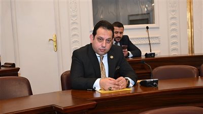 النائب محمد الجندي يطالب بإعادة ترتيب أولويات الاستيراد وتعزيز المكون المحلي لدعم الاقتصاد
