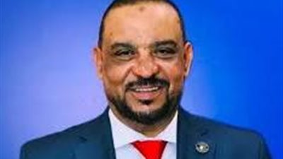 النائب أحمد حافظ: كلمة مصر أمام الأمم المتحدة تضع رؤية متكاملة لأمن المنطقة