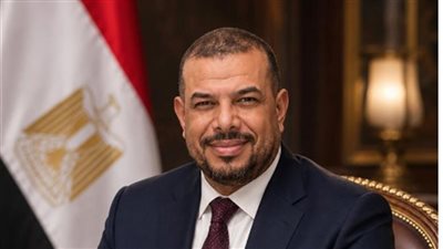 عارف الشمندي: ارتفاع الاستثمارات الأجنبية يعكس تحسن جاذبية الاقتصاد المصري وثقة المستثمرين