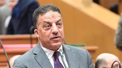 النائب فيصل أبو عريضة: تحركات الرئيس السيسي لخفض التصعيد تحمي الأمن القومي والاقتصاد المصري من فاتورة الحروب