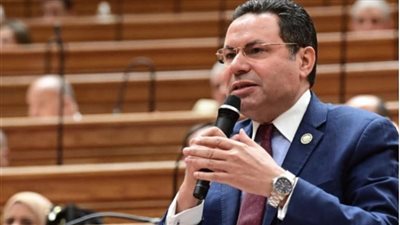 النائب هشام الحصري: تأجيل الإجراءات الجنائية إلى 2027 يهدف للحفاظ على حقوق المواطنين