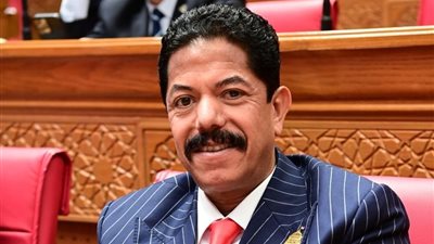 النائب علاء سليمان الحديوي: تأجيل تطبيق قانون الإجراءات الجنائية خطوة مهمة لاستكمال جاهزية منظومة العدالة