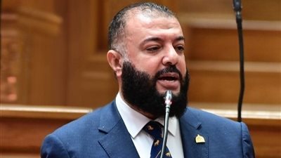 النائب أحمد خليل: تأجيل تطبيق الإجراءات الجنائية لا يعفي الحكومة من وضع خطة للجاهزية