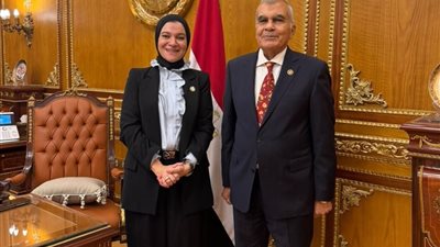النائبة ريم الصاوي: دور الانعقاد الثاني يبدأ في توقيت حساس.. وأولويتنا دعم المواطن وحماية الفئات الأولى بالرعاية