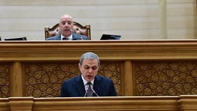 محمد سعفان رئيسًا وإيهاب منصور وأسماء نشأت وكيلين للجنة القوى العاملة