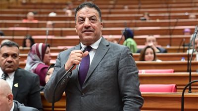 النائب فيصل أبو عريضة: كلمة السيسي في ذكرى أكتوبر تجسد روح النصر وإرادة البناء