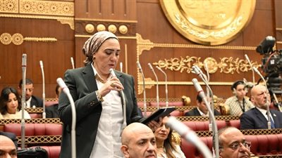 النائبة داليا الأتربي: حماية الأطفال من مخاطر الاستخدام الخاطئ لمواقع التواصل يجب أن يصبحا جزءًا من ثقافة مجتمعية مستدامة