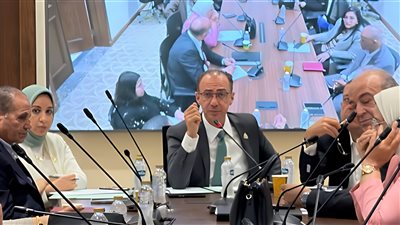 تتصدرها أزمة الأدوية الناقصة.. صحة النواب تضع خطة عمل دور الانعقاد الجديد