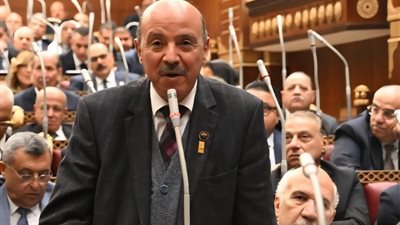 تشكيل الهيئات البرلمانية يتواصل بالشيوخ.. النائب محمد طه عليوة رئيسًا لـ