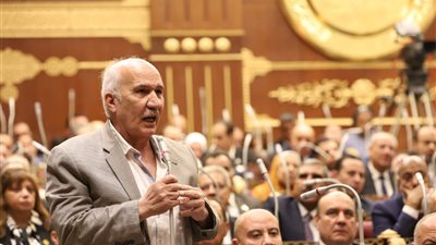 مع انطلاق دور الانعقاد الثاني.. النائب السيد عبدالعال على رأس هيئة 