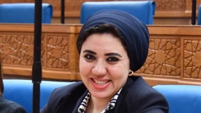النائبة أميرة صابر أمين سر حقوق الإنسان بالشيوخ للمرة الثانية: 