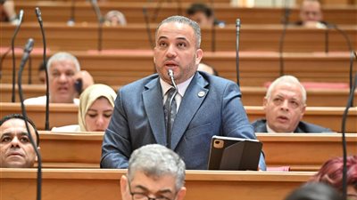 هاني شحاتة: الشراكة الاستراتيجية مع كوريا تعزز التعاون في البنية التحتية والمدن الذكية وتوطين التكنولوجيا