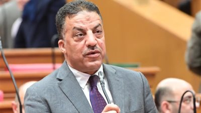 النائب فيصل أبو عريضة: حرب الوعي أخطر ما يواجه الدولة المصرية.. والحفاظ على الوطن مسؤولية الجميع