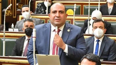من التصدير إلى التصنيع.. النائب محمد سليم يطرح خريطة التوسع المصري في أسواق أفريقيا