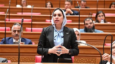 النائبة فاطمة عادل: صندوق دعم الأسرة لا يكفي لحل أزمات الأحوال الشخصية.. ونطالب بقانون متكامل