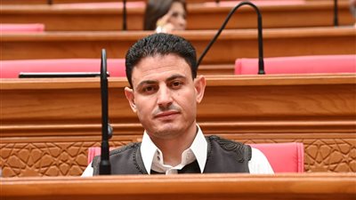 النائب عبدالناصر أبو شعفة: تفويض الرئيس السيسي لوقف العدوان على السعودية موقف وطني لحماية الأمن القومي العربي