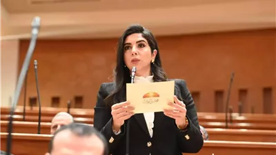 النائبة شذا أحمد حبيب: مراجعة نتائج مسابقة المعلمين ضرورة لتحقيق الشفافية وتكافؤ الفرص