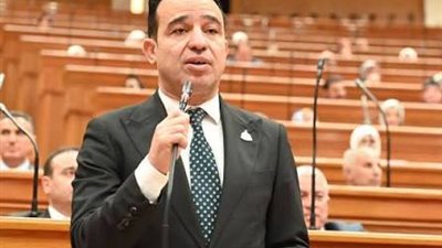 برلماني: قانون الأحوال الشخصية ركيزة لاستقرار الأسرة وحماية الأطفال من آثار الطلاق