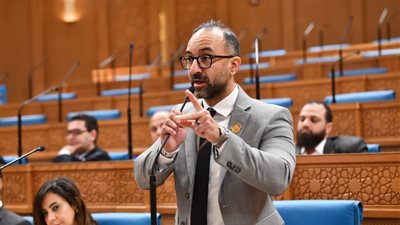 بعد واقعة الطفلة سلسبيل.. الحمامصي يطالب بكشف المستور في ملف الكلاب الضالة