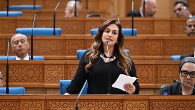 النائبة إيفا فارس: يجب رفع الأعباء المالية الناتجة عن تأخر الإفراج عن سيارات ذوي الإعاقة