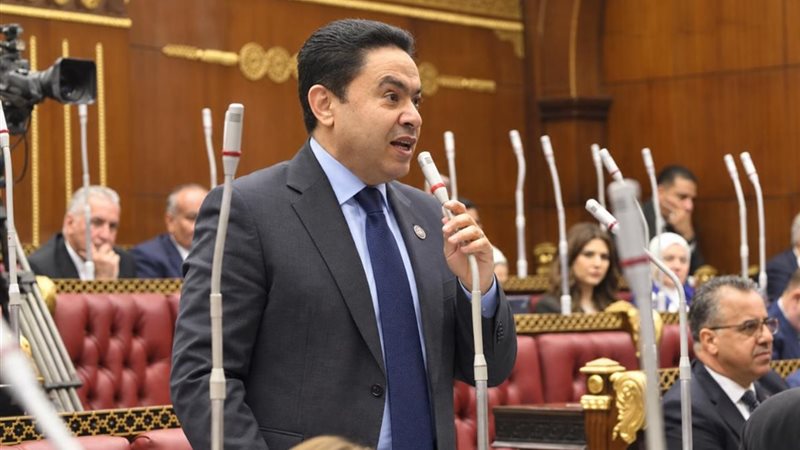  النائب إسماعيل علي الشرقاوي