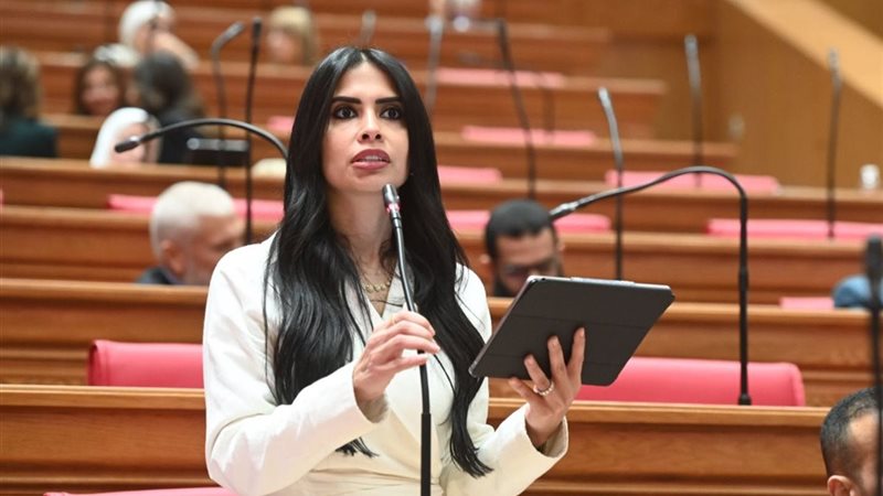  النائبة هايدي المغازي
