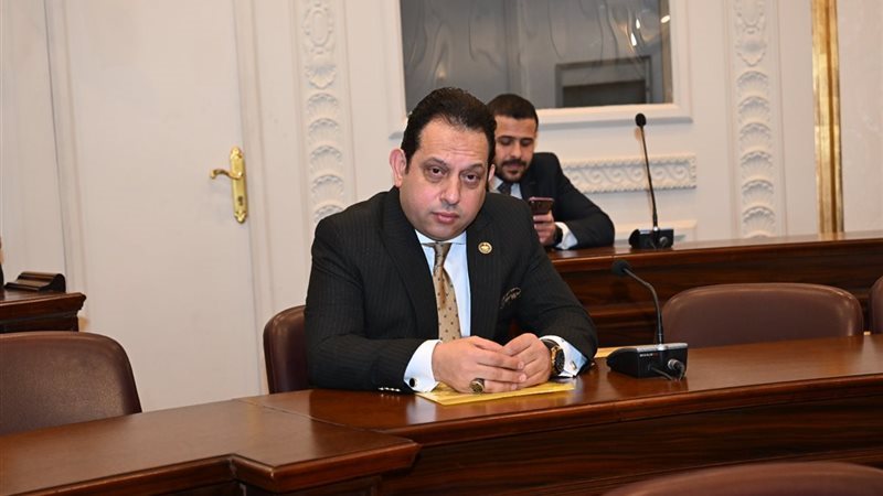 النائب محمد الجندي