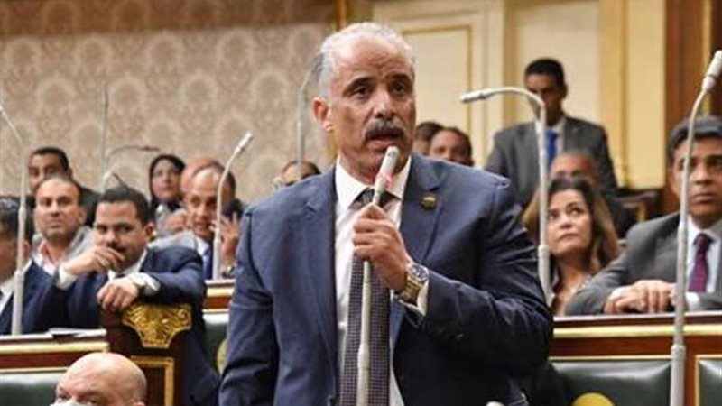 النائب عيد حماد