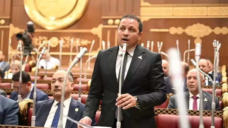 النائب عادل السكري