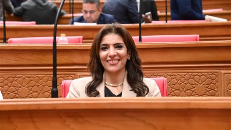 النائبة رانيا الشيمي