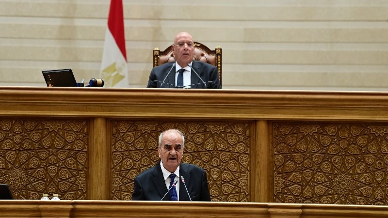 المستشار محمد عيد